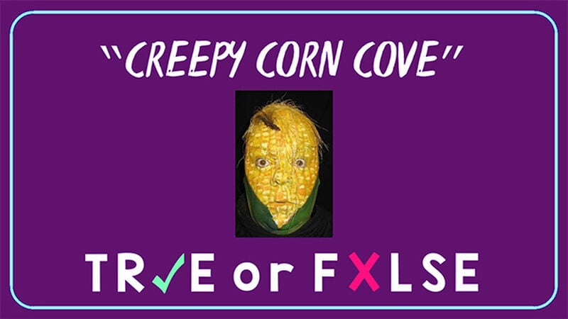 True or False - Save the Weird, Freaky City Bundle